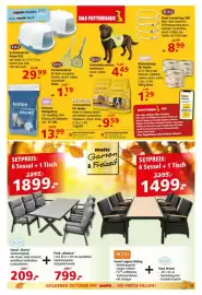 Multi Markt Prospekt woche 41 Seite 19