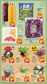 REWE Prospekt woche 41 Seite 9