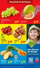 Lidl Prospekt woche 43 Seite 3