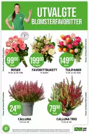 Kiwi kundeavis uke 41 Side 21: CALLUNA TRIO €79,90, TULIPANER €149,00