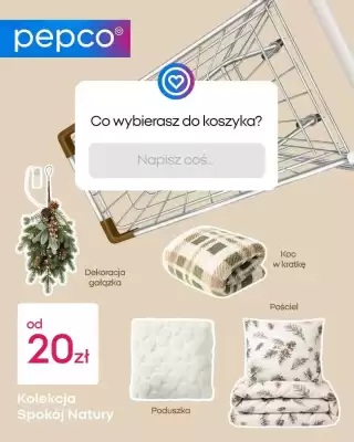 Pepco gazetka (ważność do 17-10)