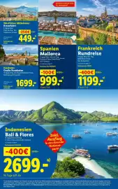 Lidl Flugblatt woche 41 Seite 32