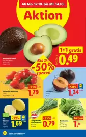 Lidl Flugblatt woche 41 Seite 45