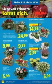 Lidl Flugblatt woche 41 Seite 30