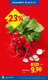 Lidl leták Strana 13: Ředkvičky 1 svazek €9,90
