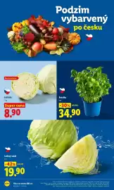 Lidl leták Strana 14
