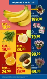 Lidl leták Strana 15: Banány 1kg €19,90, Vřesová kaskáda, 6 ks €199,90