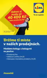 Lidl leták Strana 49