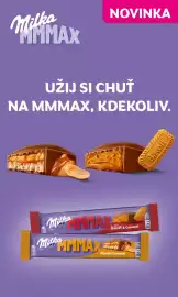Lidl leták Strana 51