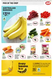 IGA catalogue week 41 Page 6
