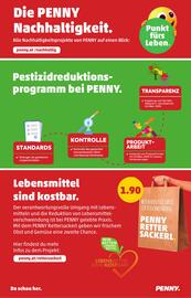 PENNY Flugblatt woche 41 Seite 32