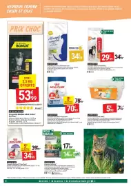 Catalogue Gamm vert page 10: Croquettes medium adult purina pro plan €53,99, Croquettes maxi adult 5+ royal canin €70,99