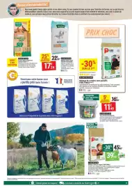 Catalogue Gamm vert page 11: Mélange pigeon super belcanto coustenoble €17,24, Terre de diatomée protecta €11,49