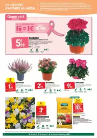 Catalogue Gamm vert page 4: Ecloz cyclamen midi collection ecloz €5,99, Composition de lierres et de cyclamens €9,99