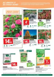 Catalogue Gamm vert page 6: Ecloz nandina en variétés ecloz €12,99, Arbre baliveau en collection €14,99