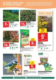 Catalogue Gamm vert page 7: Laurier palme €4,50, Ecloz photinia carré rouge ecloz €14,99