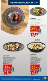 Lidl gazetka Strona 17