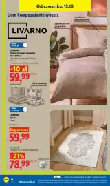 Lidl gazetka Strona 42