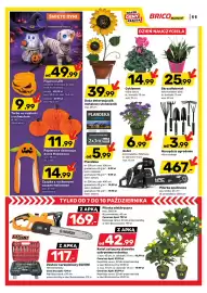 Bricomarche gazetka Strona 12: Kwiat sztuczny drzewko cytrynowe w donicy €42,99, Cyklamen €14,99
