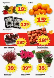 Pekås reklamblad vecka 41 Sida 7: Paprikamix €19,00, Champinjoner €12,99