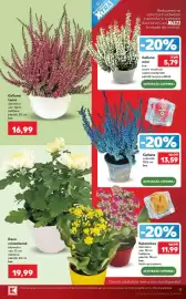 Catalog Kaufland săptămâna 41 Pagină 17
