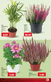 Catalog Kaufland săptămâna 41 Pagină 16