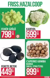 Coop akciós újság Oldal 6