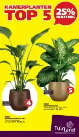 Tuinland folder Pagina 3: Paradijsvogelplant Strelitzia Nicolai €44,21, Dieffenbachia Seguine Reeva €18,71