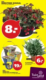 Tuinland folder Pagina 4: OP=OP EMMER MET OPGEPLANTE BLOEMBOLLEN €19,00, Blauwvaren plebodium blue star €6,00