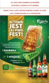 Delikatesy Centrum gazetka tydzień 41 Strona 43