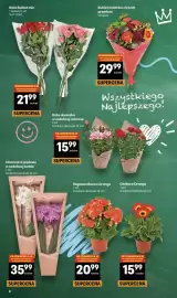 Delikatesy Centrum gazetka tydzień 41 Strona 8: Róża bukiet mix 1 bukiet/6 szt. 3,67 zł/szt. Bukiet kwiatów ciętych premium