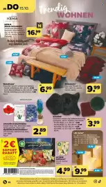 Netto Prospekt woche 42 Seite 26: Amaryllis in Geschenkbox €2,89, LED-Kerze* €9,99