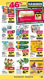 Netto Prospekt woche 42 Seite 33: MILRAM Frühlingsquark €1,99, Grünpflanze* €6,99