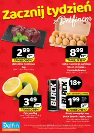 Delfin gazetka Strona 1