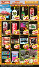 Norma leták týden 42 Strana 7: Směs sušeného ovoce €49,90, Spontex €24,90