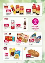 Trefa leták týden 41 Strana 13: Cais chlebový dalamán €14,90, Dr. Oetker Puding €8,90
