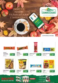 Tamda Foods leták týden 41 Strana 1: Maggi 5min instantní těstoviny / bramborová kaše €25,50, Maggi Nápady €17,90