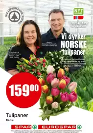 Spar kundeavis uke 41 Side 13: Tulipaner €159,00