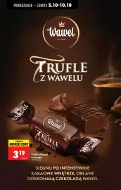Biedronka gazetka tydzień 41 Strona 66