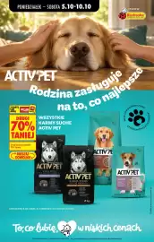 Biedronka gazetka tydzień 41 Strona 81