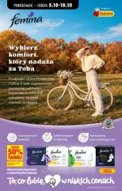 Biedronka gazetka tydzień 41 Strona 85