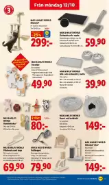 Lidl reklamblad vecka 42 Sida 20: Max & Mila's World Mat- och vattenskål / matta €39,90