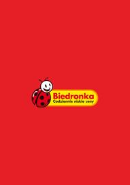 Biedronka gazetka tydzień 41 Strona 8