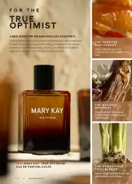 Mary Kay catalogue Page 6