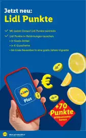 Lidl Flugblatt Seite 2