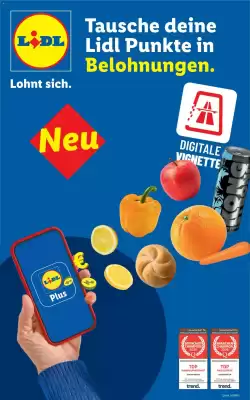 Lidl Flugblatt (gültig bis 8-11)