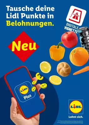 Lidl Flugblatt