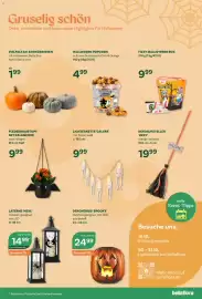 Bellaflora Flugblatt Seite 3: Laterne 'Hexe' €14,99, Fledermaustopf mit Kalanchoe €9,99