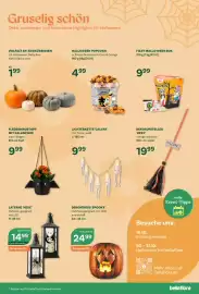 Bellaflora Flugblatt Seite 3: Laterne 'Hexe' €14,99, Fledermaustopf mit Kalanchoe €9,99