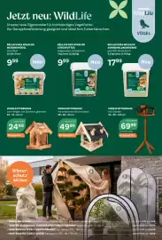 Bellaflora Flugblatt Seite 4: Vogelfutterhaus €24,99, Vogelfutterhaus mit schwarzem Bitumendach €49,99